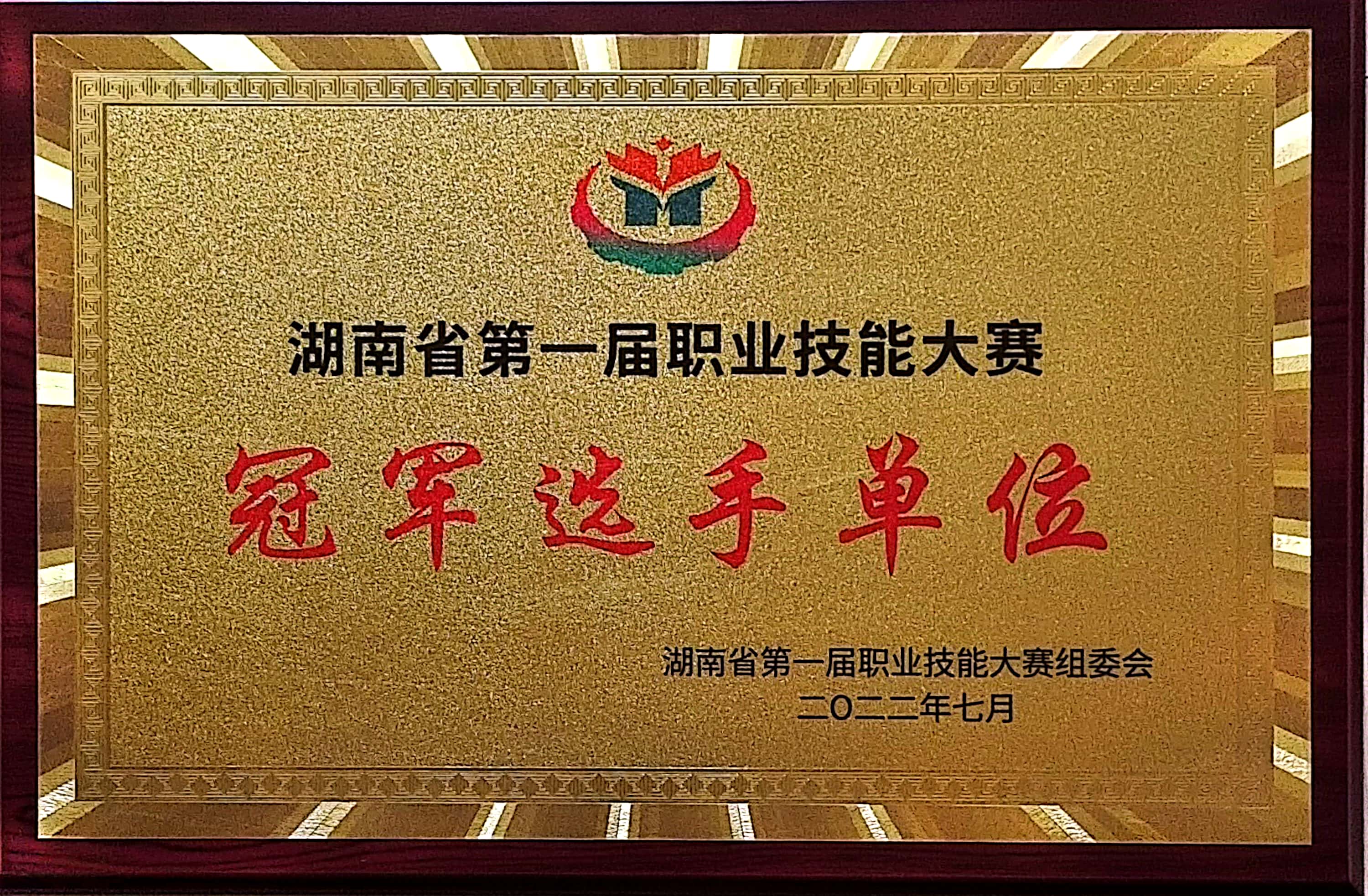 湖南省第一屆職業(yè)技能大賽冠軍選手單位